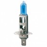 H1 12V 55W BLUE COATX KIT