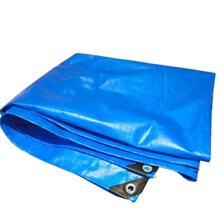 LONA PLASTICA 2x3 MTS 